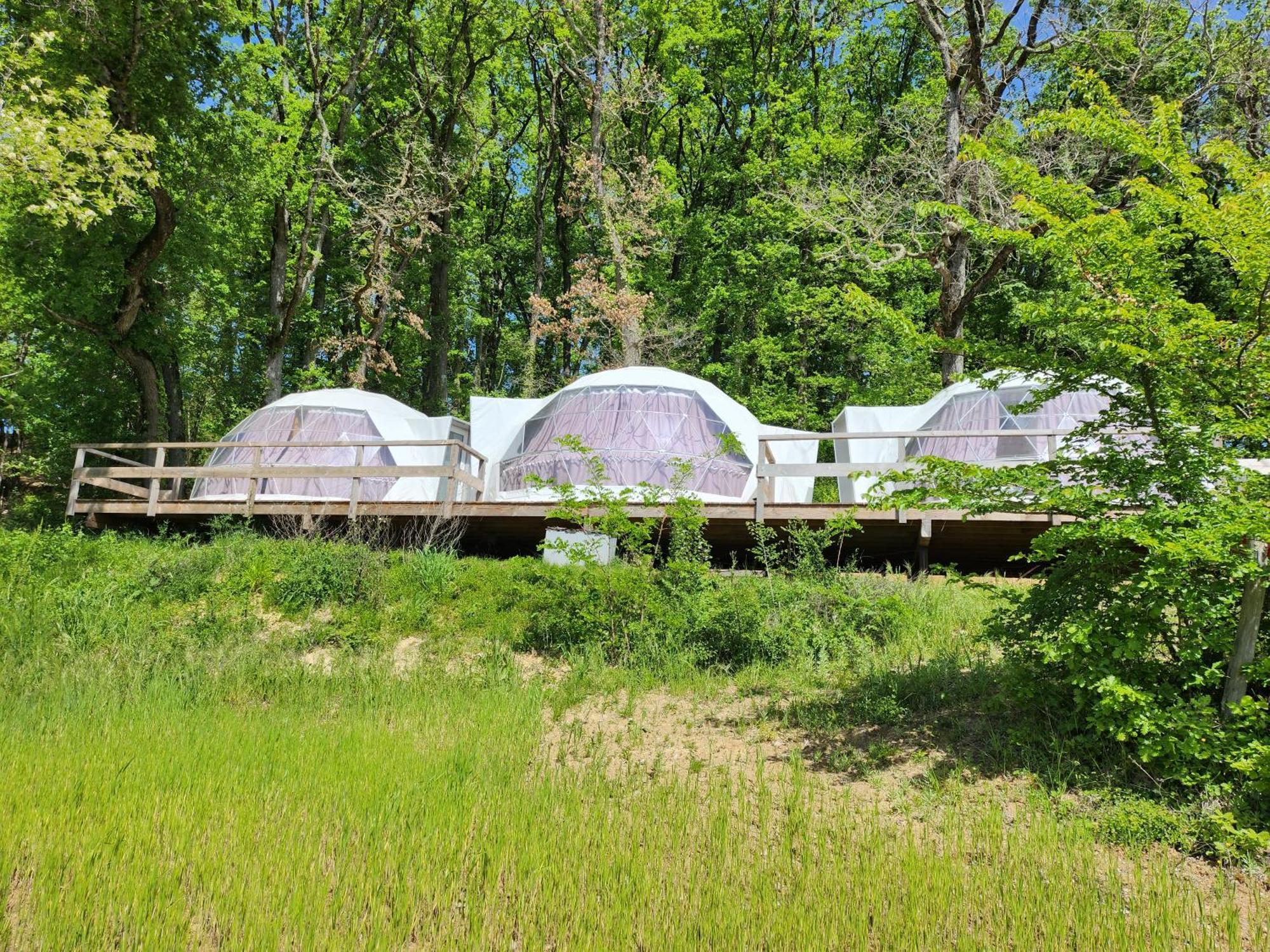 Domaine De Massoulac Molières Екстериор снимка