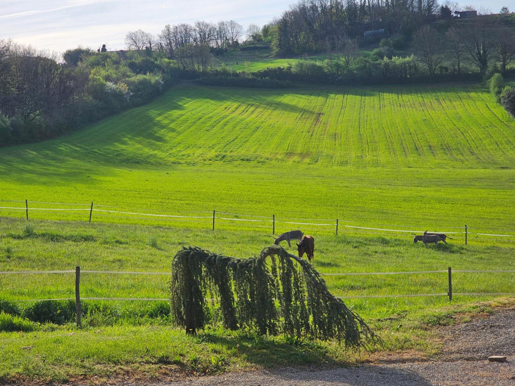 Domaine De Massoulac Molières Екстериор снимка