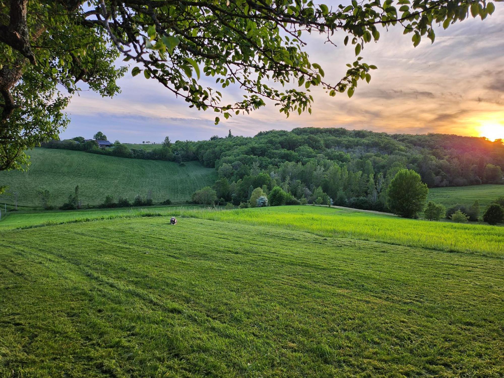 Domaine De Massoulac Molières Екстериор снимка